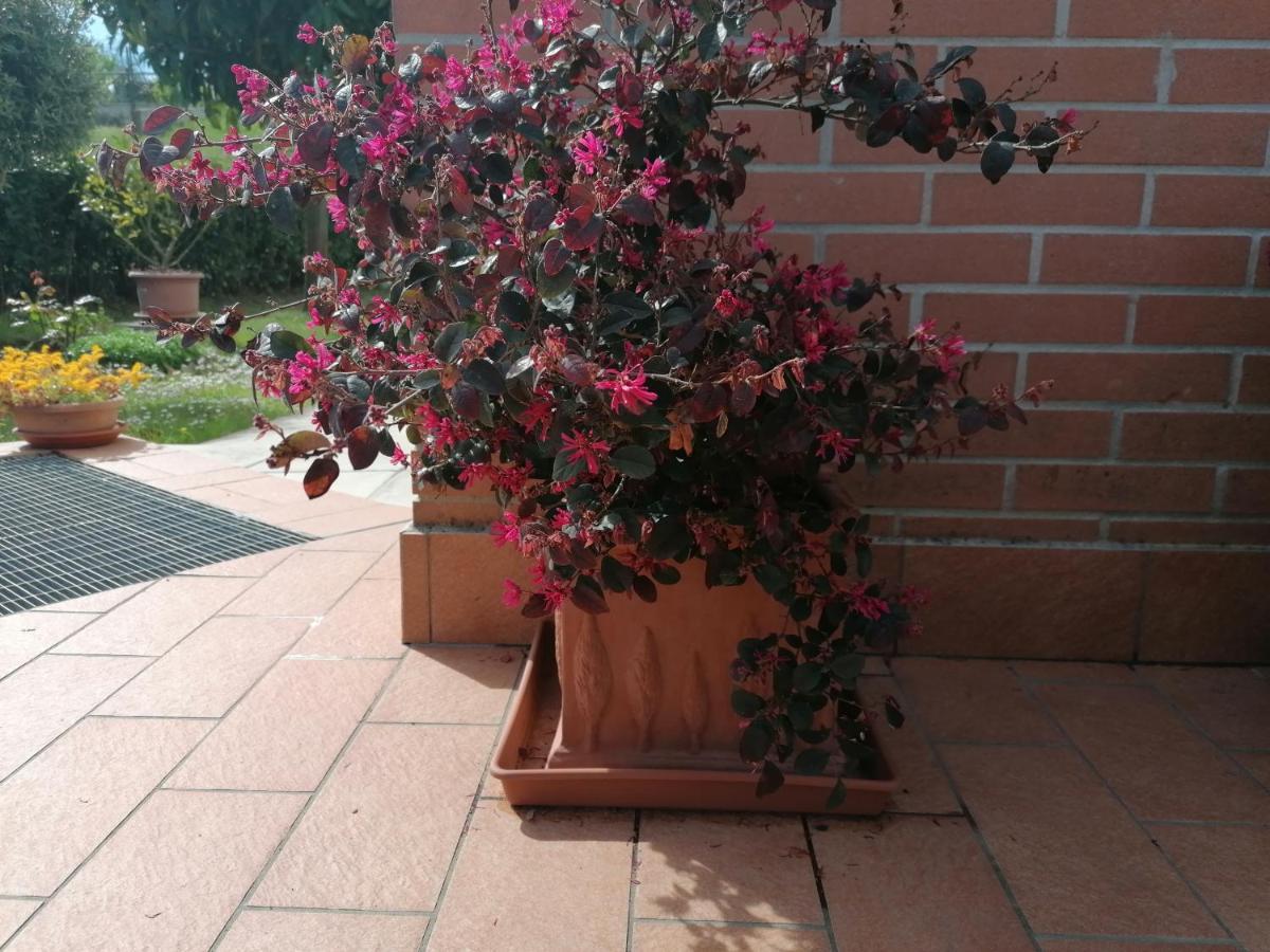 Goccia In Valdorcia Smart Home San Quirico dʼOrcia Buitenkant foto